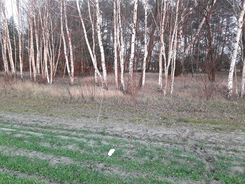 R1230917 sonda