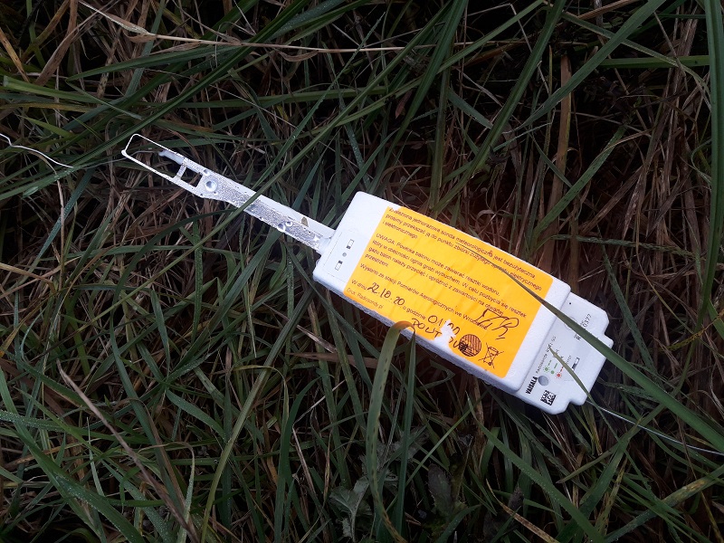 R4410377 sonda