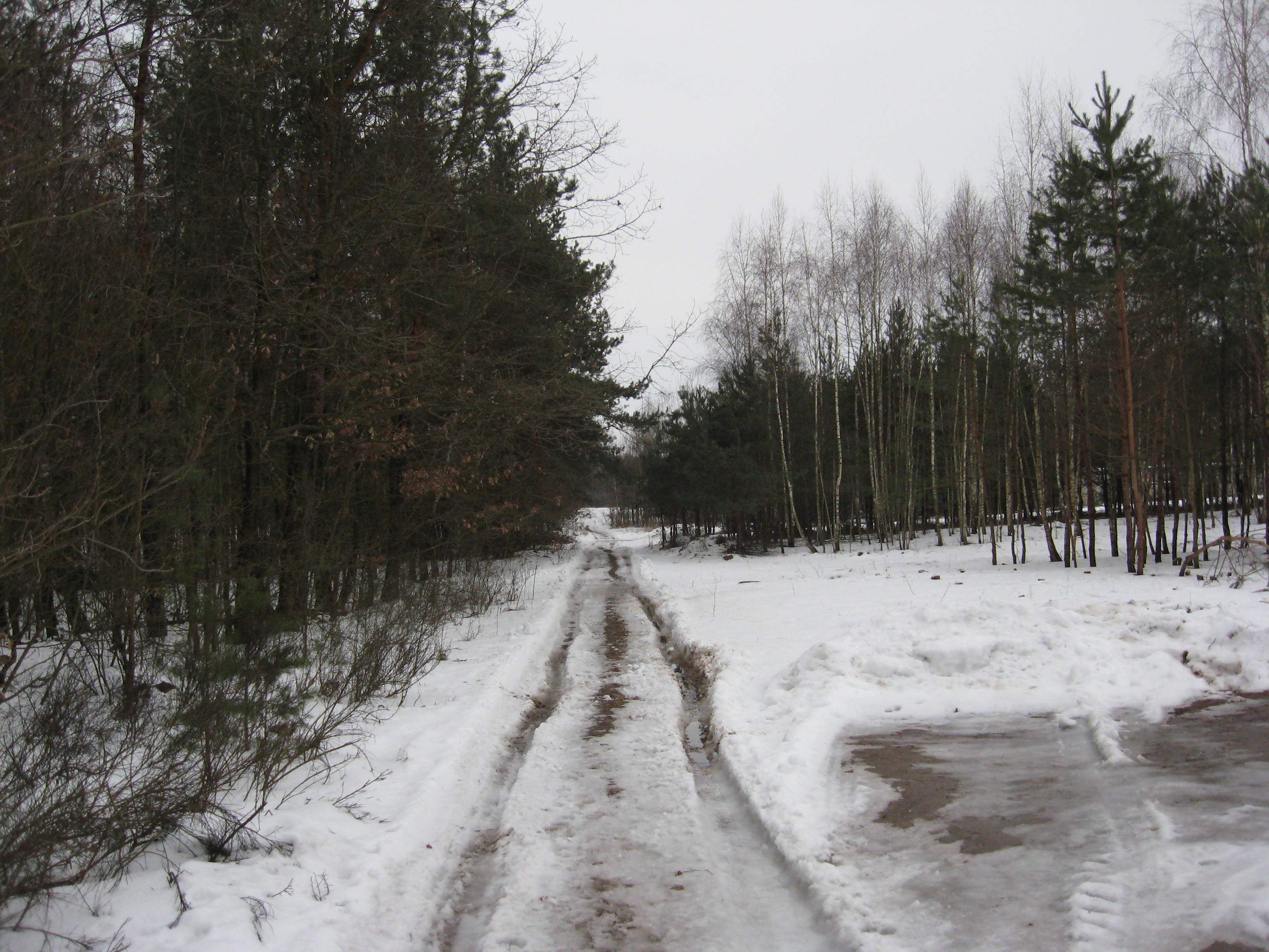Teren